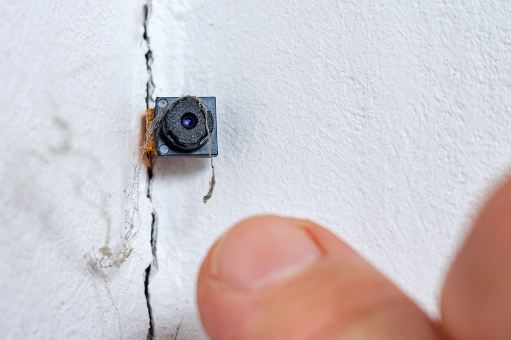 Home Office Bug Detection