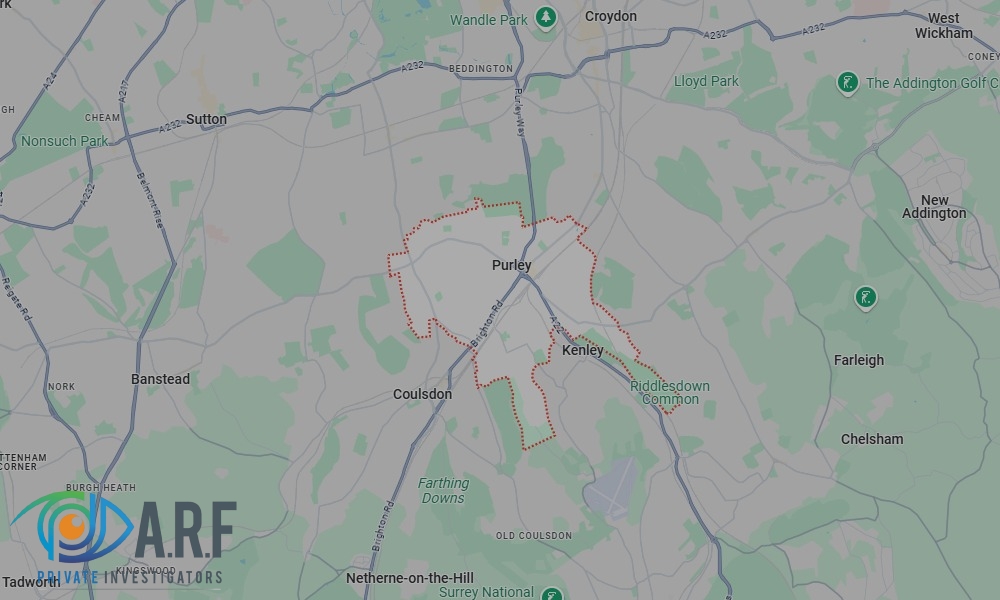 We regularly undertake electronic bug detection across Purley.