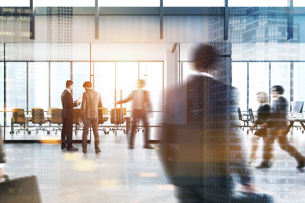 Director Investigations for Rogue Businesses